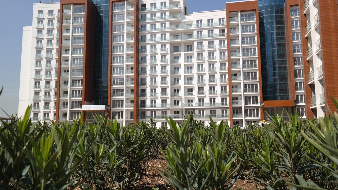 HALKALI - TEMA İSTANBUL